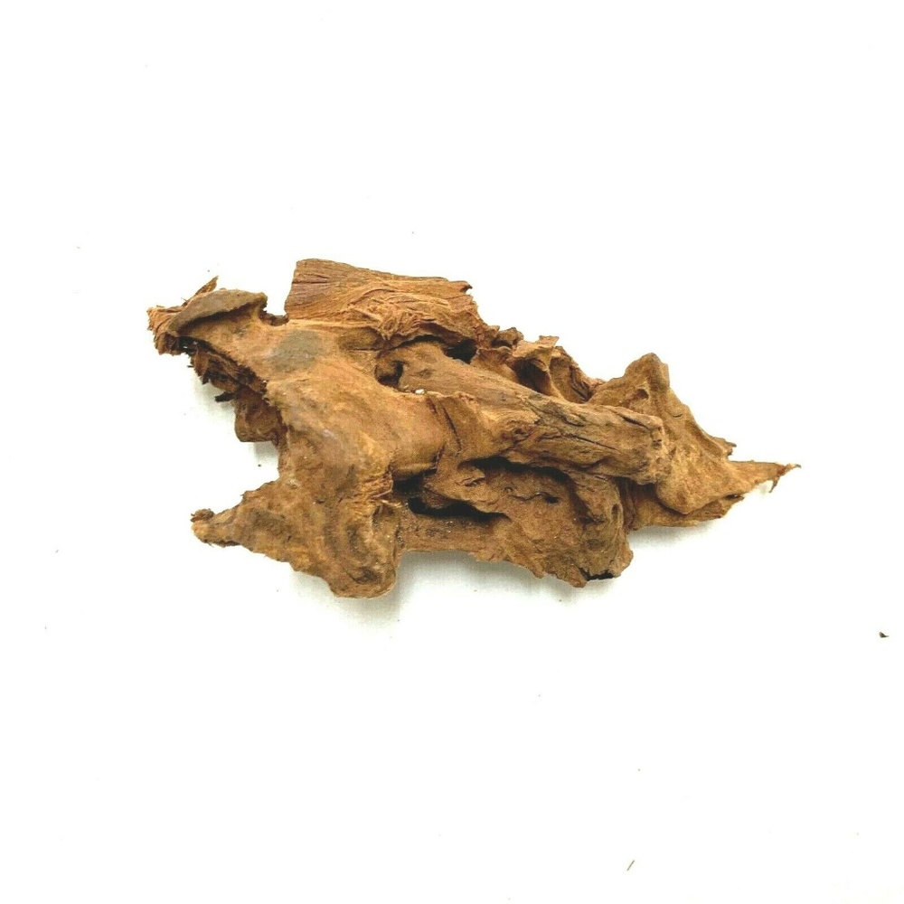 Malaysian Drift Wood Aquarium Natural Planted Tank